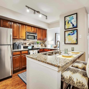 Premium kitchen at Tonti Lakeside featuring stainless appliances and granite counters