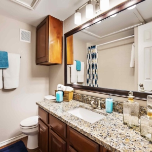 Bathroom of the premium model at Tonti Lakeside with single vanity and granite counters