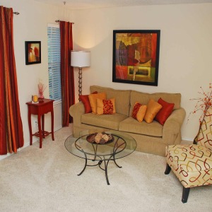 Standard apartment home living room at Tonti Lakeside